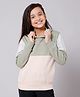 ALAN JONES Cotton Blend Knit Full Sleeves Cut & Sew Light Winter Hooded Sweatshirt - Light Khaki & Green