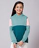 ALAN JONES Cotton Blend Knit Full Sleeves Cut & Sew Light Winter Hooded Sweatshirt - Turquoise & Pink