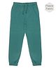 ALAN JONES Fleece Knit Solid  Winter Joggers - Green