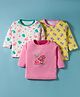 Kidi Wav Pack Of 3 Full Sleeves Flamingo & Teddy Bear Printed Tee - Multi Colour