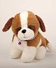 Dukiekooky  Cute & Adorable Brown and White Dog with Purple Collar and Bell Plush  Toy Soft Stuffed Animal ,Height 22 cm