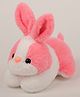 Dukiekooky Super Cute & Adorable Pink Bunny Plush Soft  Toy Height 25 cm