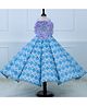 Li & Li Couture Tafetta Woven Sleeveless Floral Applique Detailed Pearls Embellished Crop Top With Skirt Set - Sky Blue & Lavender