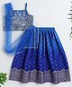 The Magic Wand Woven Sleeveless Floral Zari Embroidered Choli Lehenga With Dupatta Set - Blue