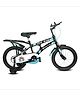 LoveBaby 16T Booster SeaGreen Bicycle For Kids