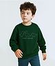 Bubble Berry Knit Full Sleeves Dinosaurs Printed Oversized Winter Sweatshirt - Green