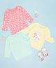 Pantaloons Baby Pack Of 3 Cotton Knit Full Sleeves Floral & Bunny Printed Tees - Multi Colour