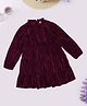 Pantaloons Junior Knit Full Sleeves Textured Tiered Dress - Maroon