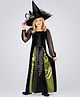 Little Surprise Box Halloween Theme Full Sleeves Witch Costume With Hat Set - Green