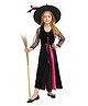 Little Surprise Box Halloween Theme Full Sleeves Witch Costume With Hat Set - Pink