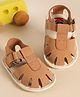 Kicks & Crawl Solid Velcro Closure Sandals - Brown