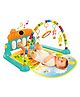AKN TOYS Kick and Play Multi-Function ABS High Grade Plastic Piano Baby Gym and Fitness Rack Products - PACK OF 1 - ( COLOR MAY AVRY )