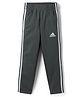 Adidas Kids Cotton Knit Full Length Track Pant With Tape Detailing & Logo Print - Green