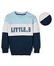 Sportking Cotton Blend Knit Full Sleeves Colour Blocked Little B Text Printed Light Winter Sweatshirt - Sky Blue