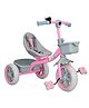Stryder Todlr Tricycle with Parental Control  Pink