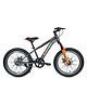 Stryder 20 Elvis Pro- Kids Bicycle - Grey