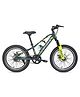 Stryder 20T Magnet Kids Bicycle , Green