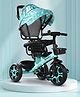 Babyhug Plug & Play Tricycle with Parental Push Handle & Foldable Canopy - Sea Green| Foldable Footrest| Non Slip Pedal| High Backrest| Storage Basket| Removable Safety Rail & Harness| Cushion Seat