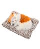 FunBlast Cute Sleeping Cat Plush Toy with Meow Sound  1 Pc (Multicolor) - Height 18 cm
