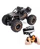 Sanjary  1:18 Alloy High Speed APP Control 4WD Mini RC Hand Control RC Drift Climbing Car With Camera for kids adult color design may vary
