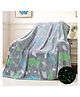 Elecart Glow in The Dark Dino  Blanket for Kids  Super Soft Flannel Dino Blanket | Lightweight Plush Cozy Throw for Girls & Boys | Warm All Season Cartoon Blanket