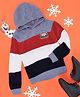Pantaloons Junior Knit Full Sleeves Colour Blocked Striped Hooded Sweater - Multi Colour