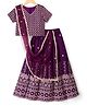 Pine Kids Woven Half Sleeves Lehenga Choli Set With Floral Embroidery & Dupatta - Wine