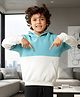 Anthrilo Fleece Knit Full Sleeves Color Block Comfort Fit Winter Hoodie - Oil Green & White
