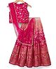 Pine Kids Woven Sleeveless Floral Embroidered Choli Lehenga Set with Dupatta - Dark Pink