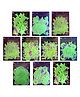 IncyWincy Glow-in-the-Dark Radium Stickers for Kids  Neon Luminous Night Glow Decor & Birthday Return Gifts (Set of 10 Packs)