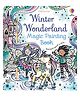Winter Wonderland Magic Painting Book - English