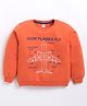 Kidcity Cotton Looper Knit Full Sleeves How Planes Fly Graphic Winter Sweatshirt - Deep Brick