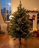 SWEN 4 feet ELARA christmas tree