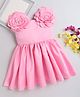 The Magic Wand Woven Sleeveless Floral Applique Detailed Party Dress - Pink