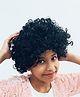 BookMyCostume Nylon Fancy Dress Accessory Curly Hair Wig - Black