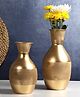 Amaya Decors Gold Flower Pot Set of 2