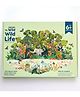 Zookeeper My Wild Wild Life Activity Box