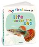 My First Book of Life Under the Sea | Early Learning Board Book for Kids  | Study Picture Book for Toddlers | Simple Words and Clear Pictures | Ideal for Gifting (My First Board Book)