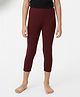 Charm n Cherish Cotton Blend Knit Solid Leggings - Brown