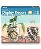 TOYKRAFTT Seashells Display Decors for Kids Age of 8-12 Years
