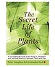 The Secret Life of Plants - English