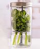 Kilner Herb Keeper - 1000 ml