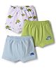 Babyoye Cotton Lycra Knit Briefs with Tortoise Print Pack of 3 - Blue Green & White