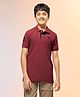 Technosport Knit Full Sleeves Solid Polo Tee - Red