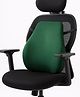 Sleepsia Memory foam Back Support Cushion, Orthopedic Car and Office Chair Back Cushion, (Green)