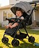 Standard Baby Stroller with Reversible Handle - Grey| Reclining Seat| 5-Point Safety Harness| One-Hand Fold| Front Swivel Wheels with Lock| Rear Wheels with Brake| Storage Basket & Canopy
