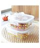 Borosilicate Printed container with lid (Square) | JDA052-MUL | Multi | Pack of 2