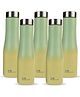 SPLASH Water Bottle Lemon-Green Gradient(Pack of 5)