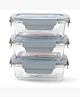 Borosilicate Food container  pack of 3  (1040ml)-JINGDA011-PNK