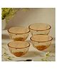 Borosilicate Colored Bowls | SAN002-AMB | Amber | Pack of 4